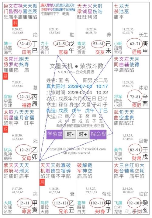 紫微斗数排盘(紫微斗数免费自助解盘)